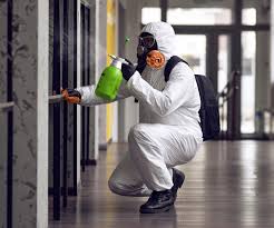 Best Asbestos and Lead Testing During Mold Inspection  in Centerburg, OH